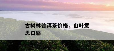 古树林普洱茶价格，山叶意思口感