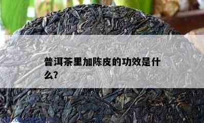 普洱茶里加陈皮的功效是什么？