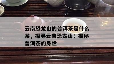 云南恐龙山的普洱茶是什么茶，探寻云南恐龙山：揭秘普洱茶的身世