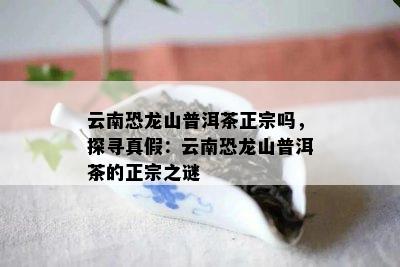 云南恐龙山普洱茶正宗吗，探寻真假：云南恐龙山普洱茶的正宗之谜