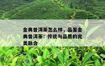 金典普洱茶怎么样，品鉴金典普洱茶：传统与品质的完美融合