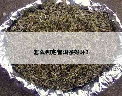 怎么判定普洱茶好坏？