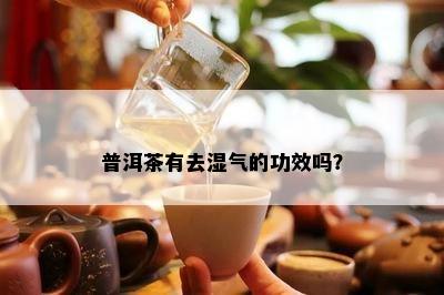 普洱茶有去湿气的功效吗？