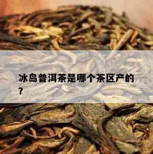 冰岛普洱茶是哪个茶区产的？