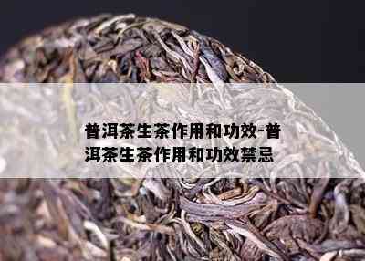 普洱茶生茶作用和功效-普洱茶生茶作用和功效禁忌