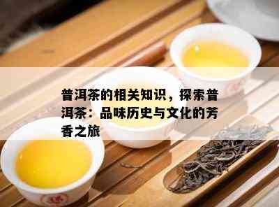 普洱茶的相关知识，探索普洱茶：品味历史与文化的芳香之旅