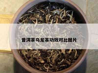 普洱茶乌龙茶功效对比图片