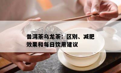 普洱茶乌龙茶：区别、减肥效果和每日饮用建议