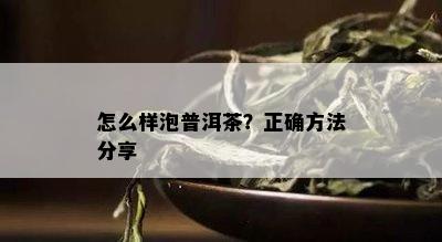 怎么样泡普洱茶？正确方法分享