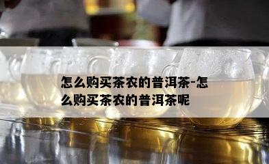 怎么购买茶农的普洱茶-怎么购买茶农的普洱茶呢