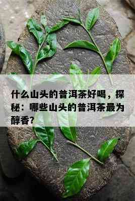 什么山头的普洱茶好喝，探秘：哪些山头的普洱茶最为醇香？