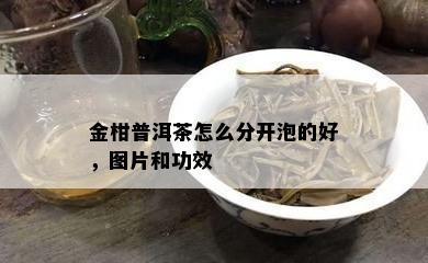 金柑普洱茶怎么分开泡的好，图片和功效