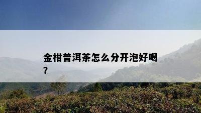 金柑普洱茶怎么分开泡好喝？