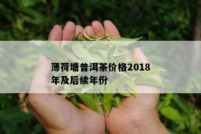 薄荷塘普洱茶价格2018年及后续年份