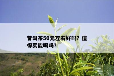 普洱茶50元左右好吗？值得买能喝吗？