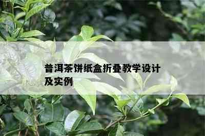 普洱茶饼纸盒折叠教学设计及实例