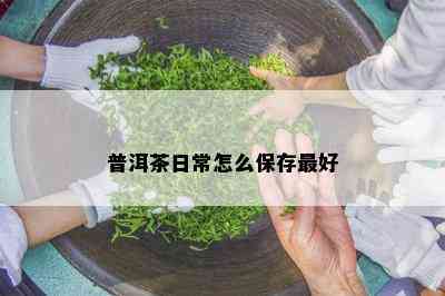 普洱茶日常怎么保存更好