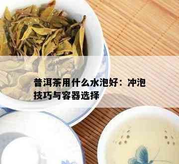 普洱茶用什么水泡好：冲泡技巧与容器选择