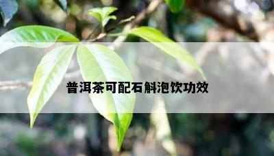 普洱茶可配石斛泡饮功效