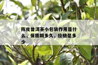 陈皮普洱茶小包装作用是什么，保质期多久，价格是多少