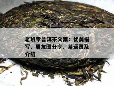 老班章普洱茶文案：优美描写、朋友圈分享、茶语录及介绍