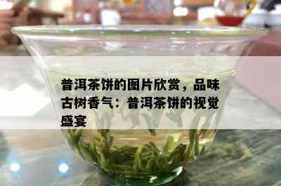 普洱茶饼的图片欣赏，品味古树香气：普洱茶饼的视觉盛宴