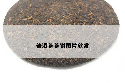 普洱茶茶饼图片欣赏