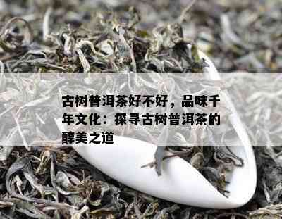 古树普洱茶好不好，品味千年文化：探寻古树普洱茶的醇美之道