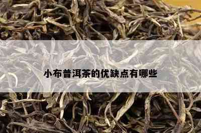 小布普洱茶的优缺点有哪些