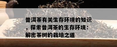 普洱茶有关生存环境的知识，探索普洱茶的生存环境：解密茶树的栽培之道