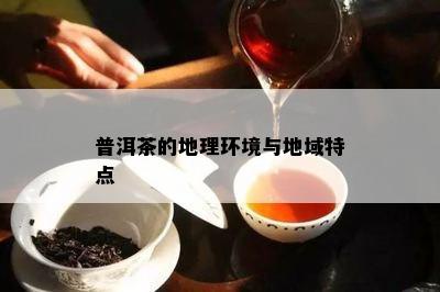 普洱茶的地理环境与地域特点