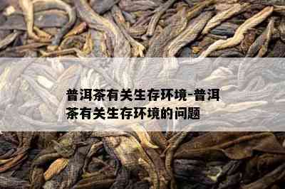 普洱茶有关生存环境-普洱茶有关生存环境的问题