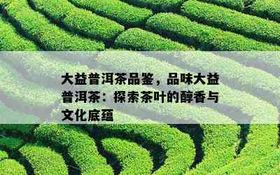 大益普洱茶品鉴，品味大益普洱茶：探索茶叶的醇香与文化底蕴