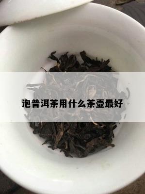 泡普洱茶用什么茶壶更好