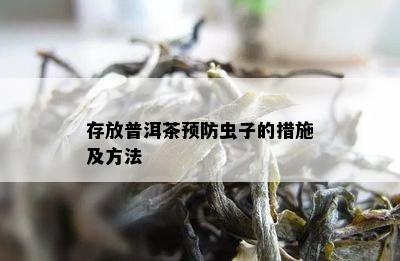 存放普洱茶预防虫子的措施及方法