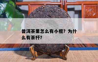 普洱茶里怎么有小棍？为什么有茶杆？