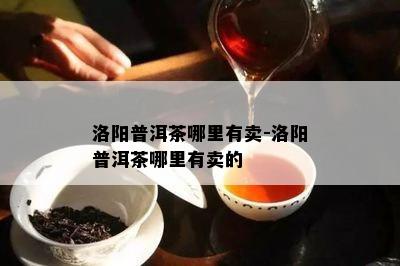 洛阳普洱茶哪里有卖-洛阳普洱茶哪里有卖的