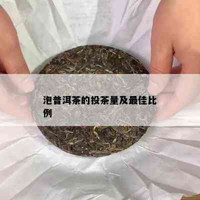 泡普洱茶的投茶量及更佳比例