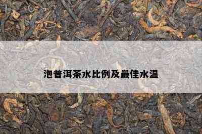 泡普洱茶水比例及更佳水温