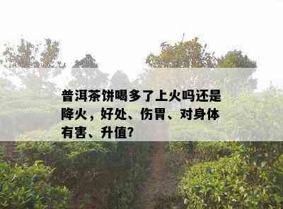 普洱茶饼喝多了上火吗还是降火，好处、伤胃、对身体有害、升值？