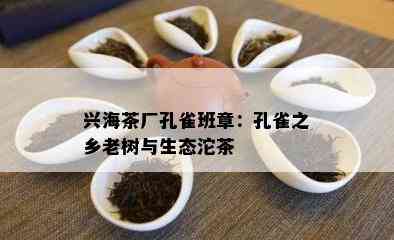 兴海茶厂孔雀班章：孔雀之乡老树与生态沱茶