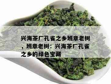 兴海茶厂孔雀之乡班章老树，班章老树：兴海茶厂孔雀之乡的绿色宝藏