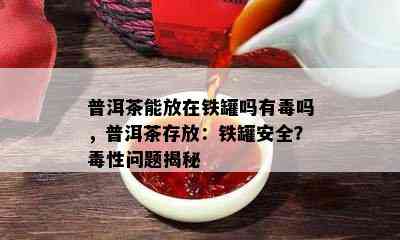 普洱茶能放在铁罐吗有吗，普洱茶存放：铁罐安全？性问题揭秘