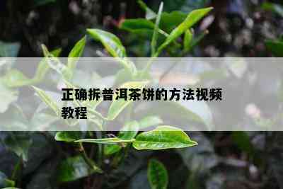 正确拆普洱茶饼的方法视频教程