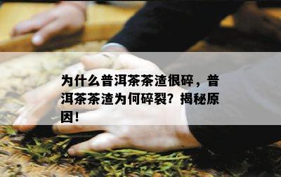 为什么普洱茶茶渣很碎，普洱茶茶渣为何碎裂？揭秘原因！