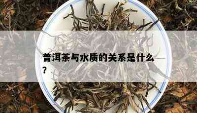 普洱茶与水质的关系是什么？