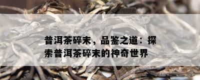 普洱茶碎末，品鉴之道：探索普洱茶碎末的神奇世界