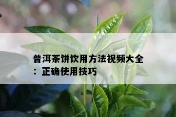 普洱茶饼饮用方法视频大全：正确使用技巧