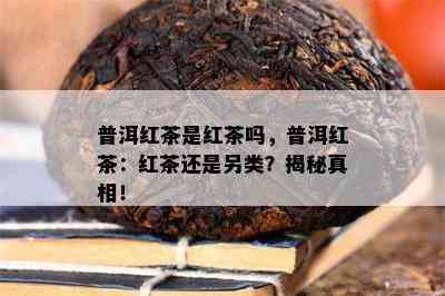 普洱红茶是红茶吗，普洱红茶：红茶还是另类？揭秘真相！