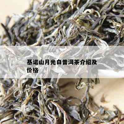 基诺山月光白普洱茶介绍及价格